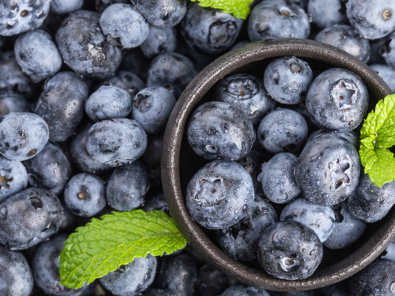 Shaanxi Huaze Biological Fruit Powder Series---Blueberry Extract Introduction